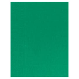 Serviette papier 2 plis Manufacture de l'Éphémère 30 x 39 cm vert lumière