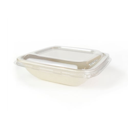 Couvercle RPET pour barquette biodégradable MB Pack 18x18 cm 800cc transparent photo du produit Back View L