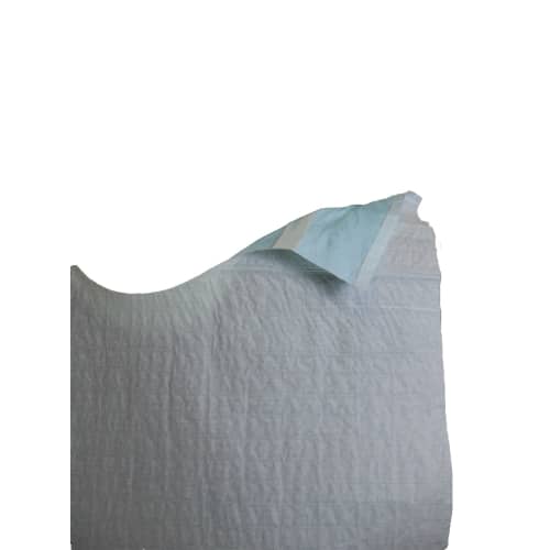 Bavoir ouate 21g/m² et PE 12µm à adhésifs sans poche bleu 40 x 48,5 cm PROP photo du produit front L