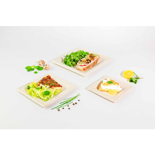 Assiette fibres végétales compostable carrée naturelle 200x200mm Alphaform
 photo du produit front L