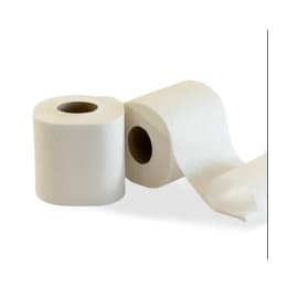 Papier toilette petit rouleau 2 plis 300 feuilles blanc 9,6 x 12,5 cm  Paredes Expert