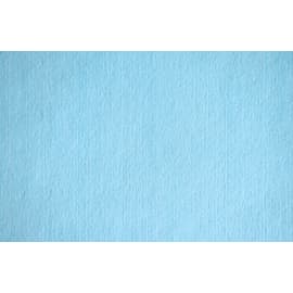 Essuyage non tissé Profitextra bleu 30 x 20 cm Paredes