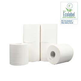 Essuyage dévidage central blanc 450 formats 20 x 35 cm Paredes Expert