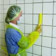 Brosse fine fibres dures alimentaire PLP 30cm bleu Vikan photo du produit back S