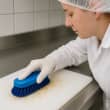 Brosse droite alimentaire 19cm bleu mi-dure Brosserie Thomas photo du produit back S