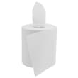 Essuyage dévidage central blanc sans mandrin 450 formats 18,1 x 25 cm Paredes Renovelar photo du produit