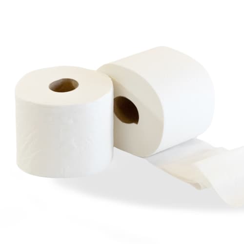 Papier toilette petit rouleau Paredes 500 feuilles Ecolabel blanc 9,6 x 11 cm photo du produit front L