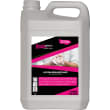 Lotion désinfectante First Clean bidon de 5L photo du produit