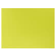 Set de table non tissé Célisoft Manufacture de l'Éphémère 30 x 40 cm chartreuse photo du produit