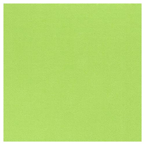 Serviette Céli-Ouate 38x38 cm pistache Ecolabel Manufacture de l'Éphémère photo du produit front L