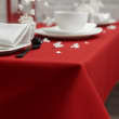 Nappe de table non tissée Célisoft® 1,20 x 50 m rouge Manufacture de l'Éphémère Industrial Compost photo du produit side S