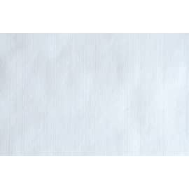 Essuyage non tissé Paredes Hightextra Smooth blanc 38 x 38 cm
