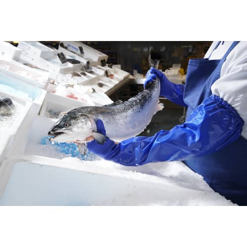 Gant de protection chimique PVC Ansell AlphaTec 23-201 bleu avec manchette renforcée 62cm taille 8 photo du produit front L