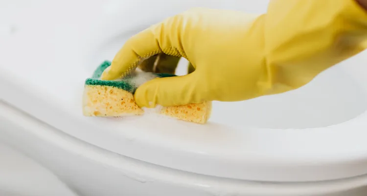 Nettoyants sanitaires
