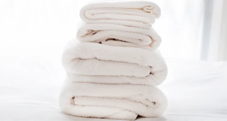 Lessive Paredes Blue Lab Laundry