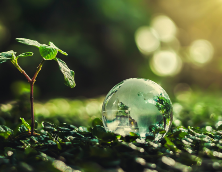 Semaine Européenne du Développement Durable