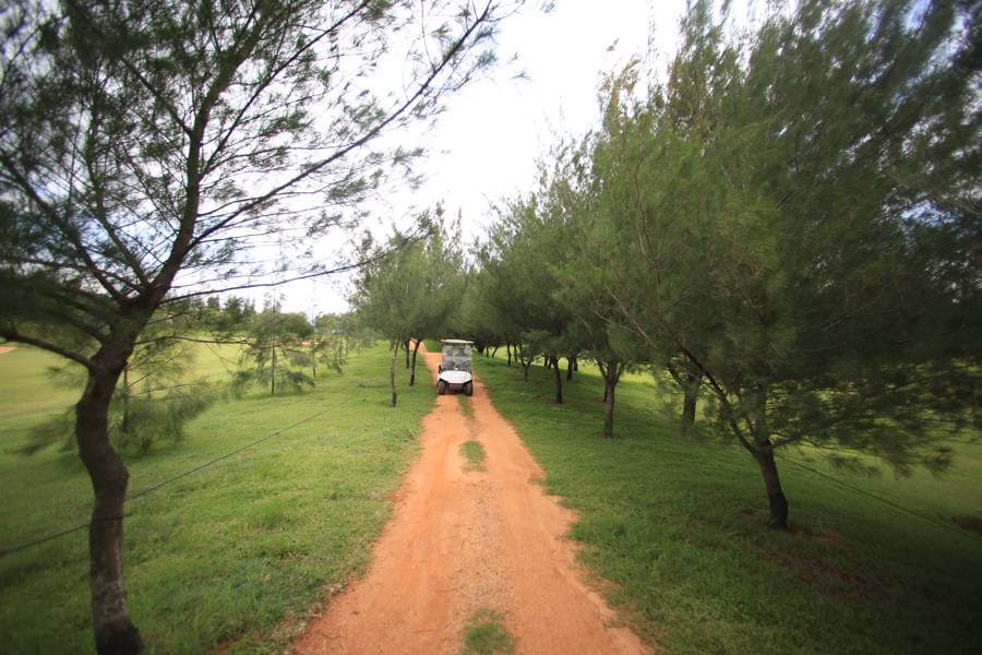 Property view 7