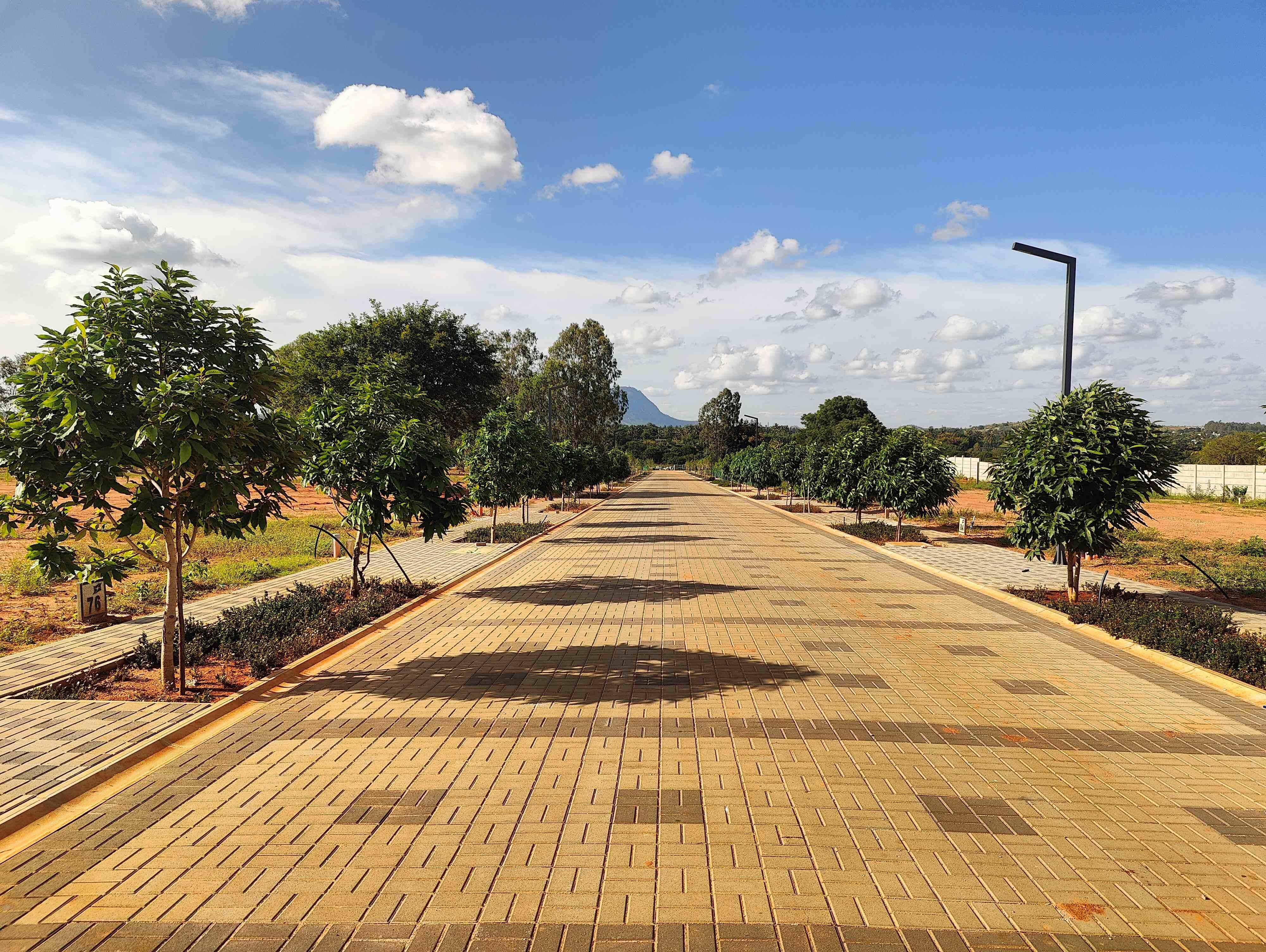 Property view 15