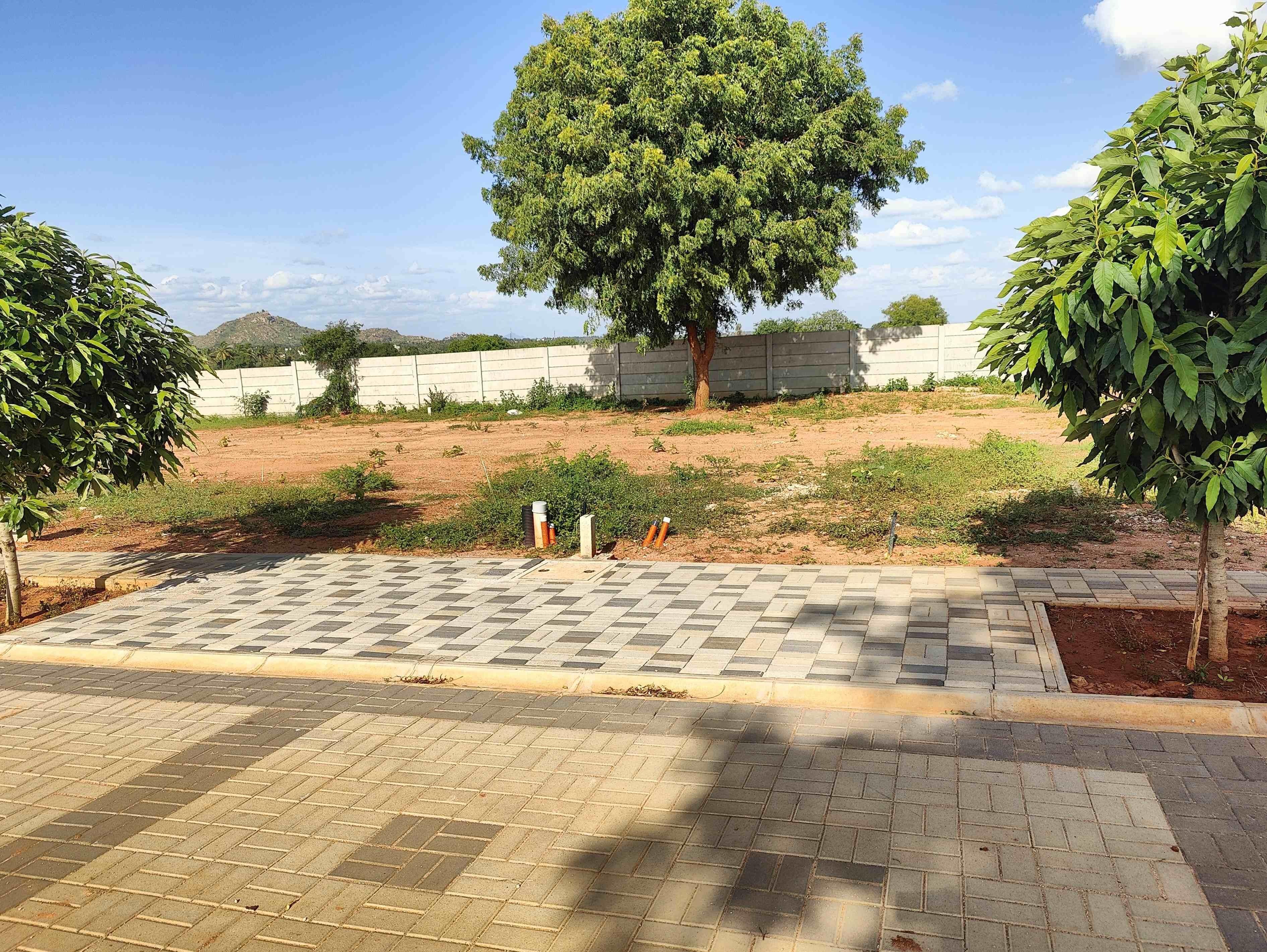 Property view 12