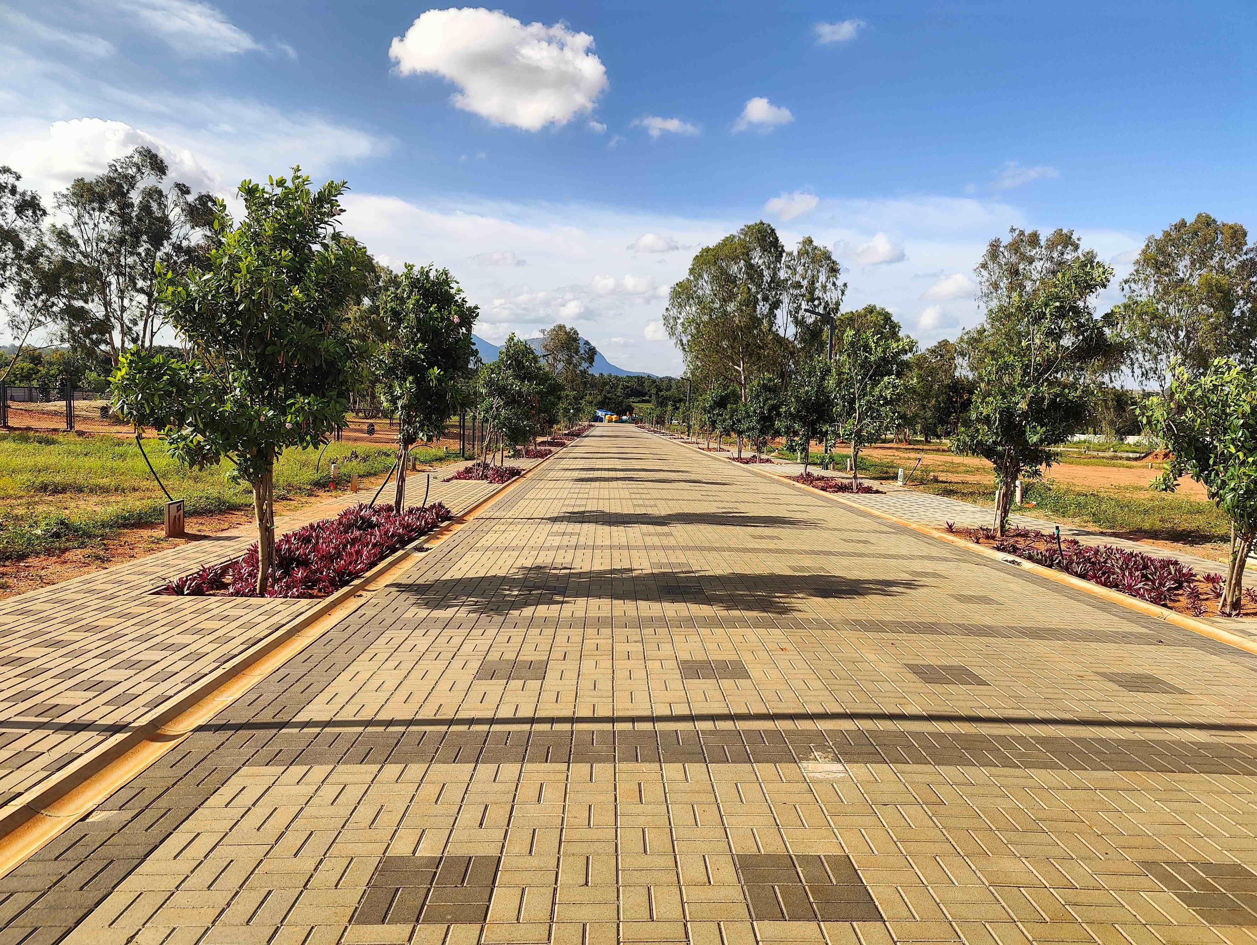 Property view 16