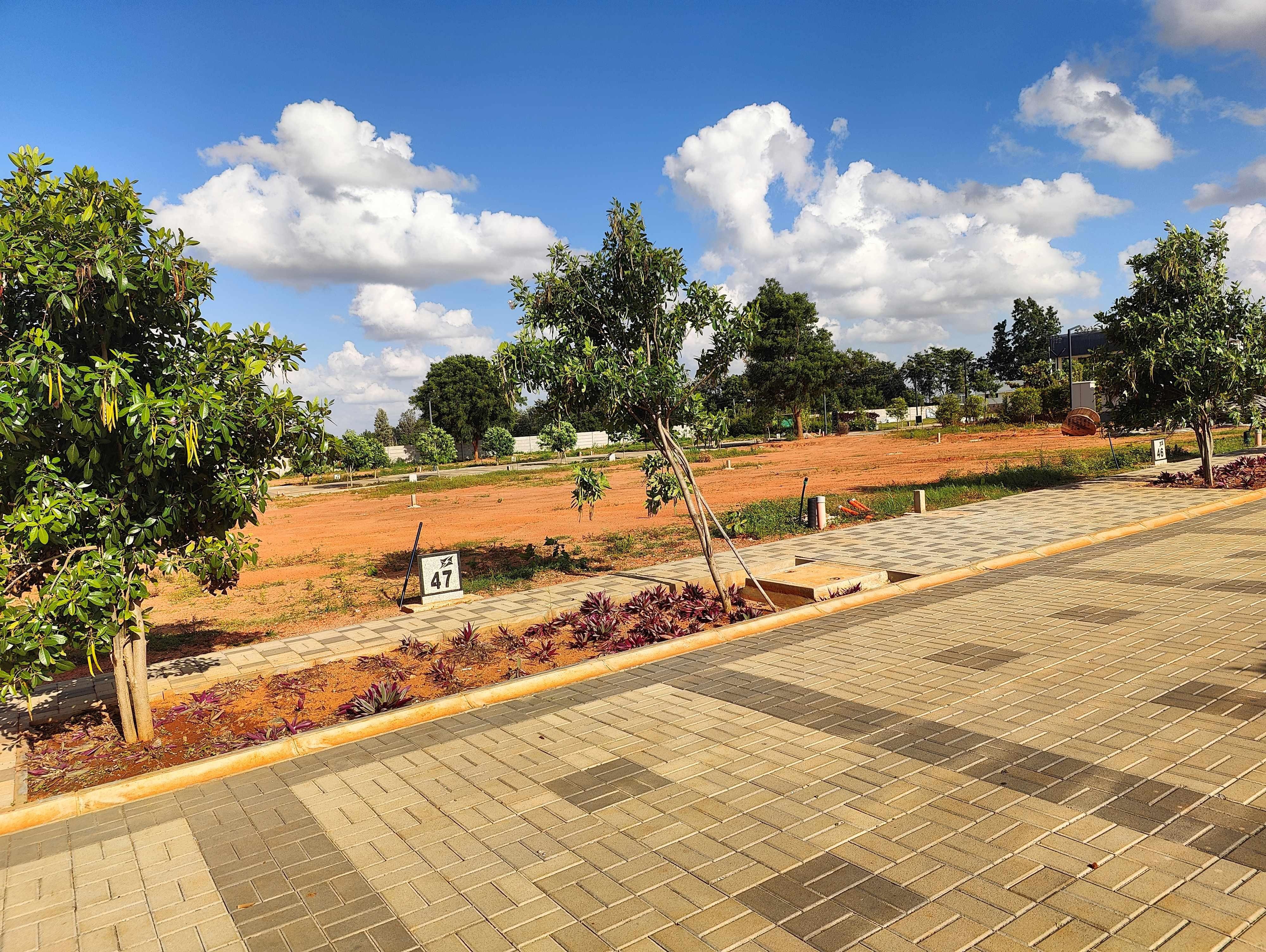 Property view 14
