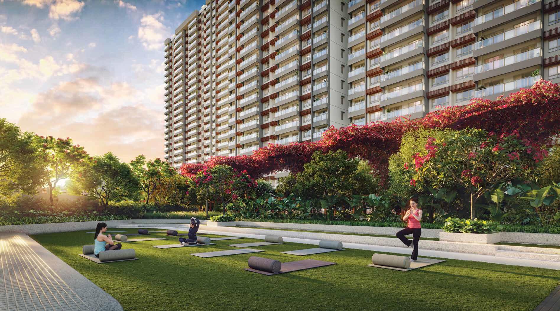 Property view 8