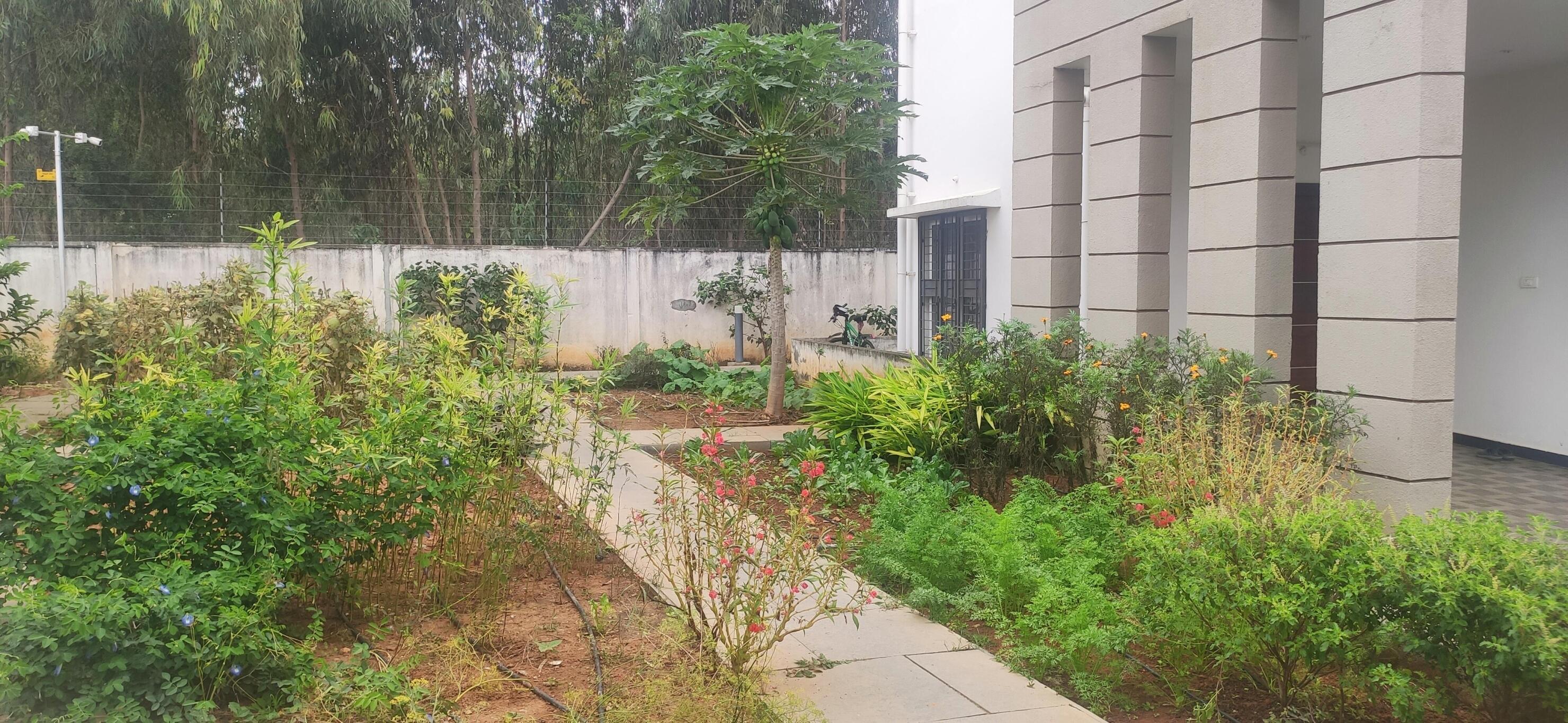 Property view 6