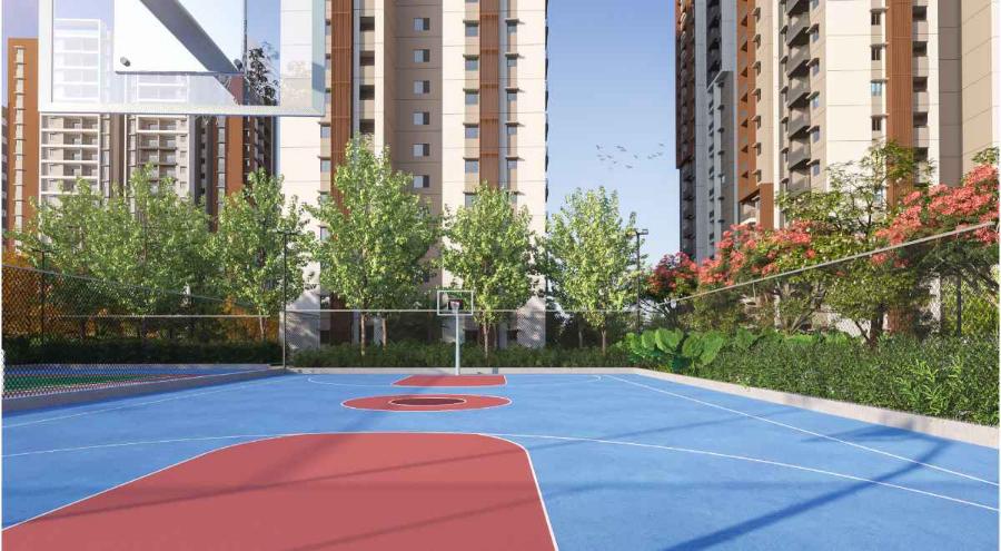 Property view 12