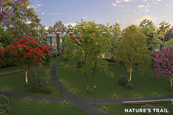 Property view 7