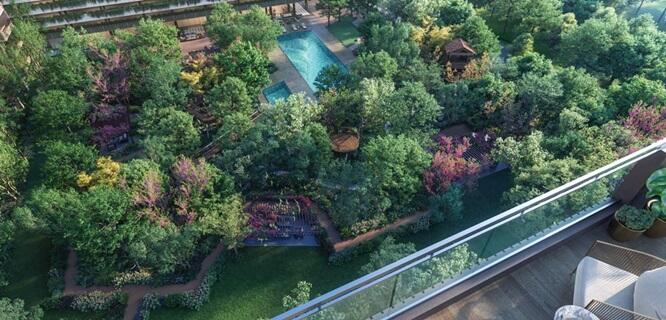 Property view 6