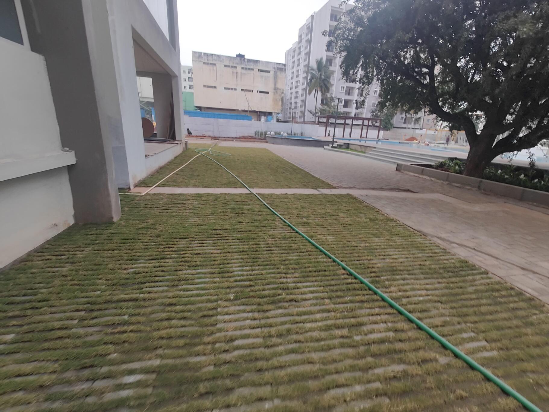 Property view 9