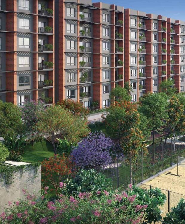 Property view 2
