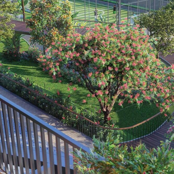 Property view 4