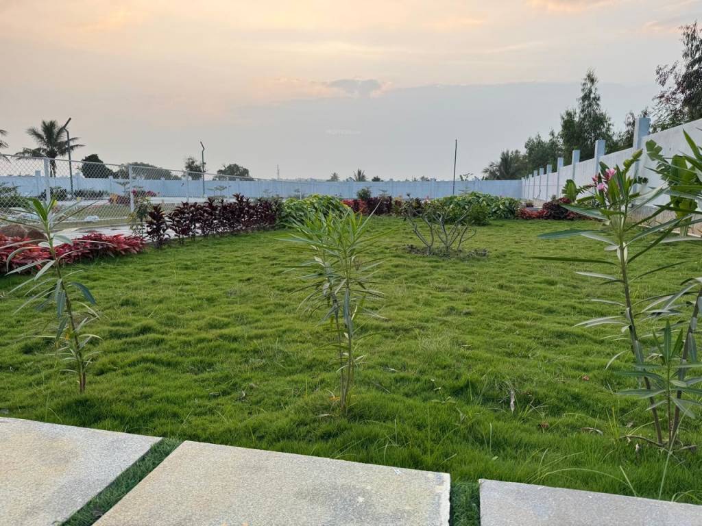 Property view 5