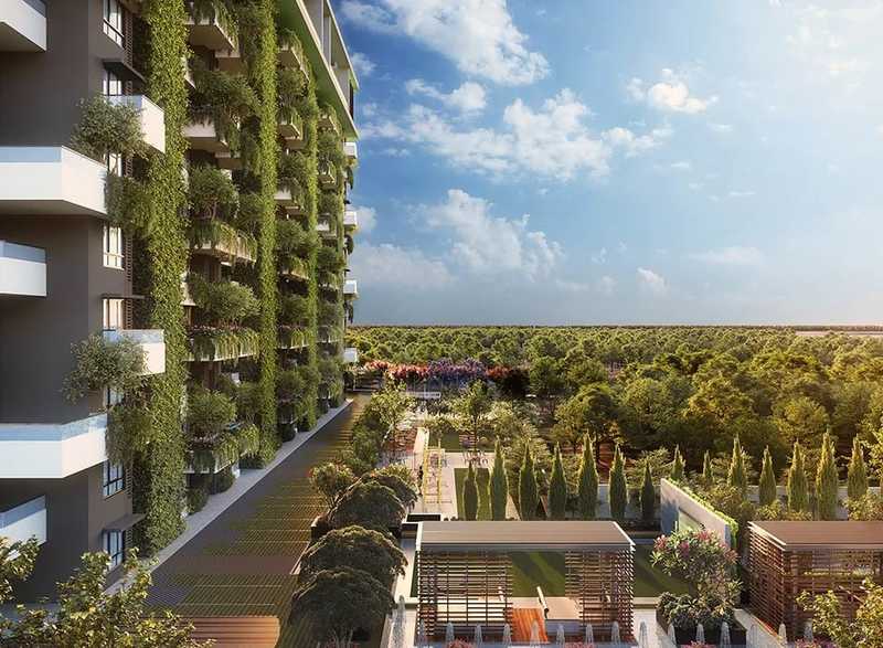 Property view 3