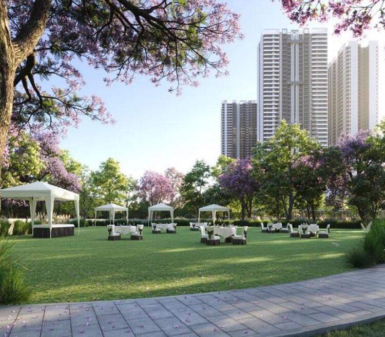 Property view 6