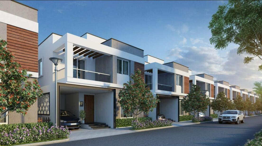 Property view 5