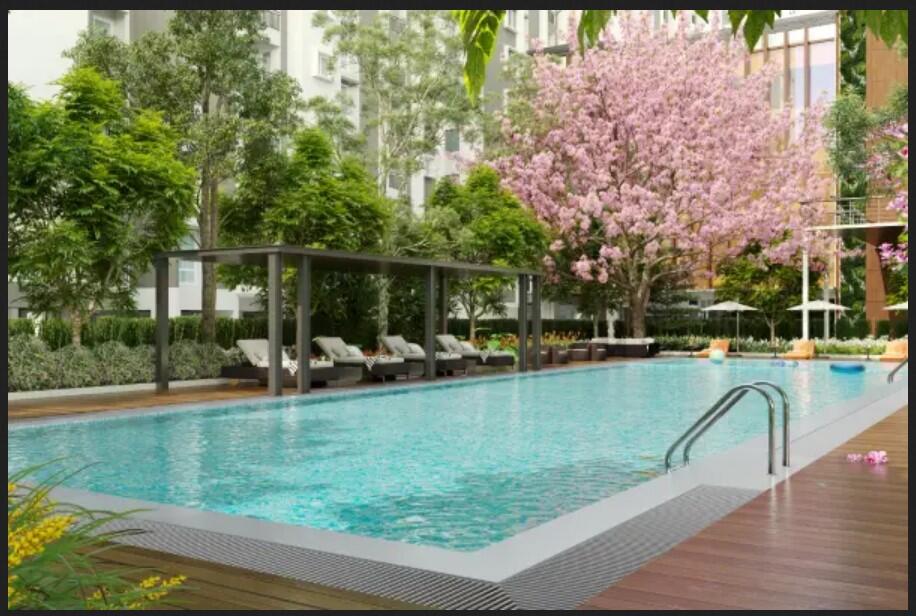 Property view 14