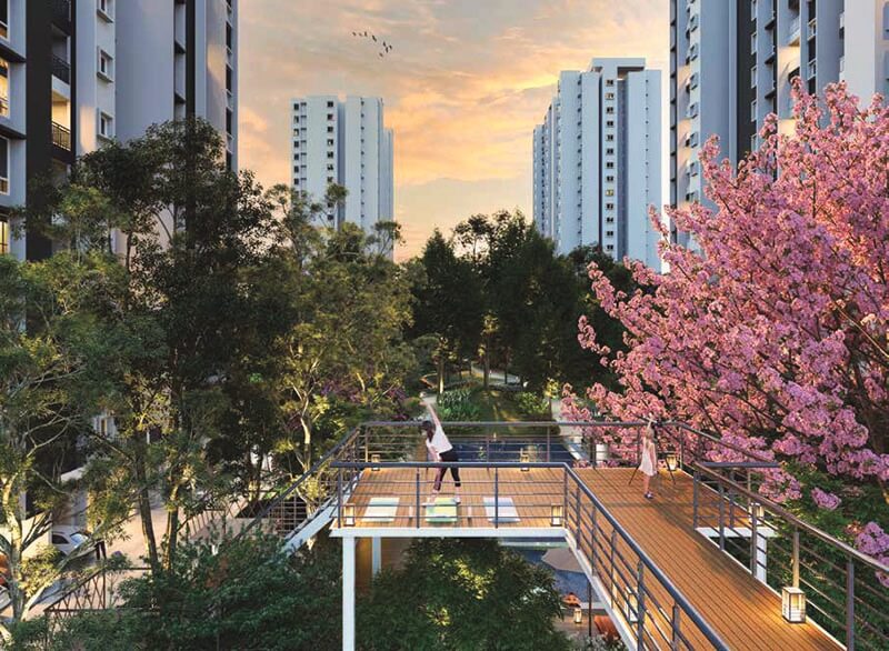 Property view 5