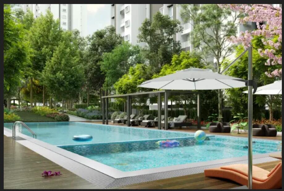 Property view 9
