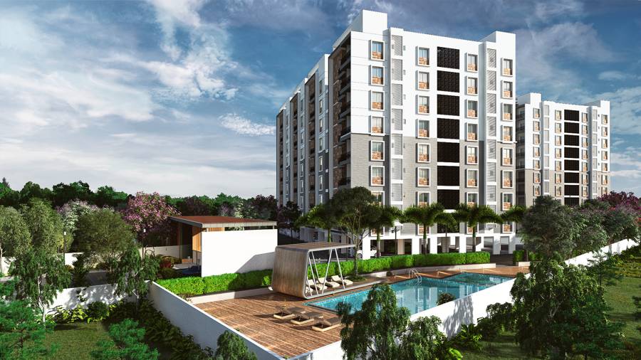 Property view 10