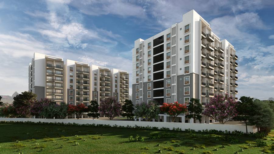 Property view 11