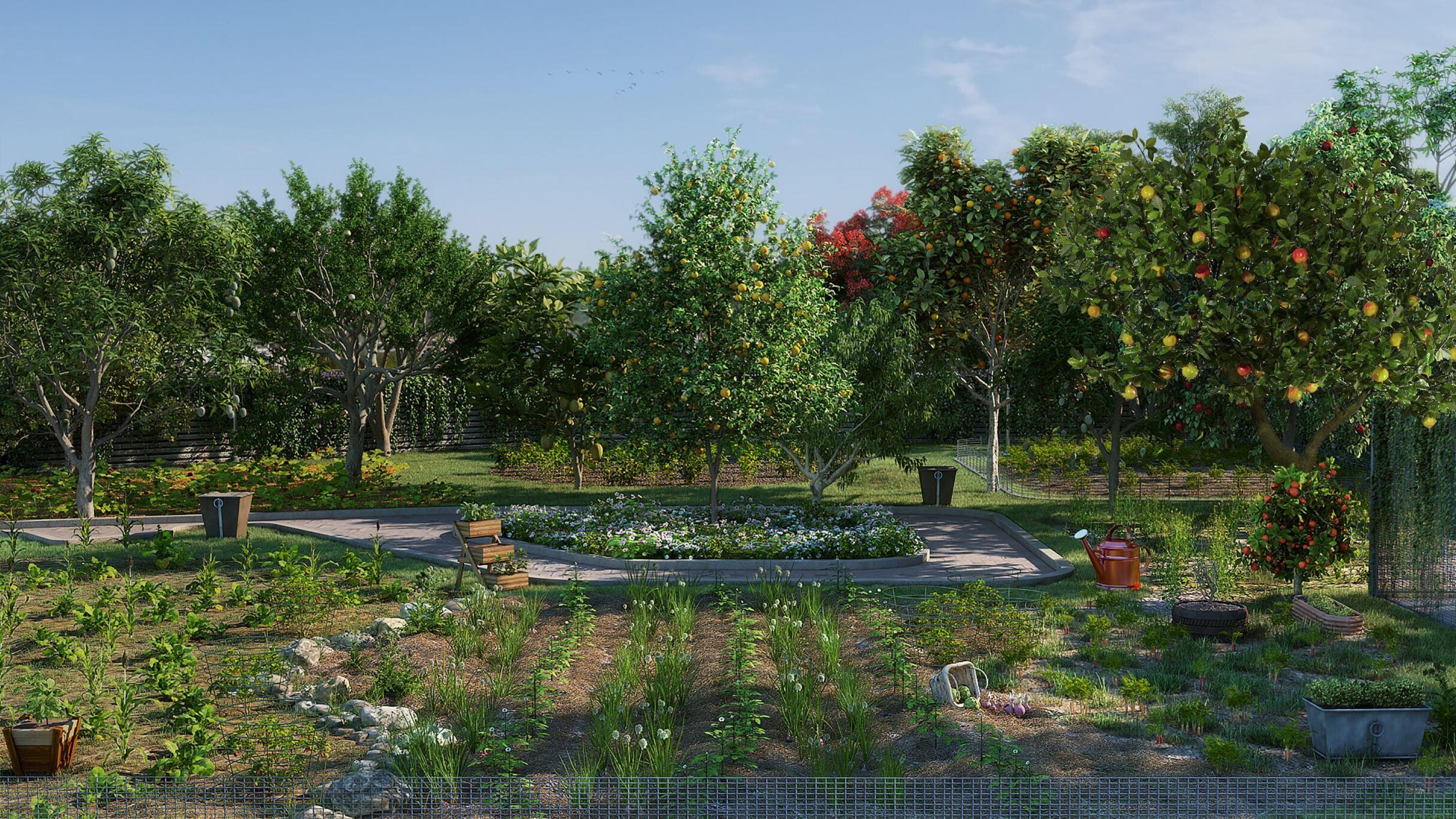 Property view 4