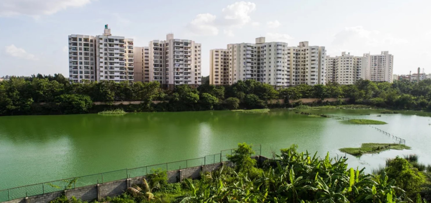 Property view 10