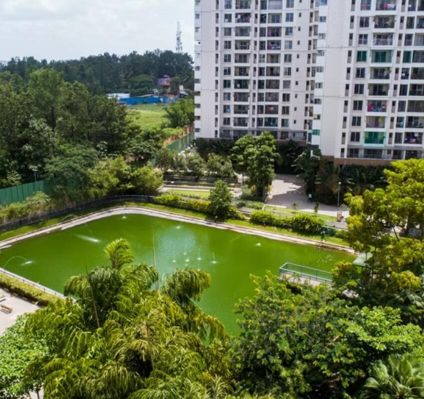 Property view 12