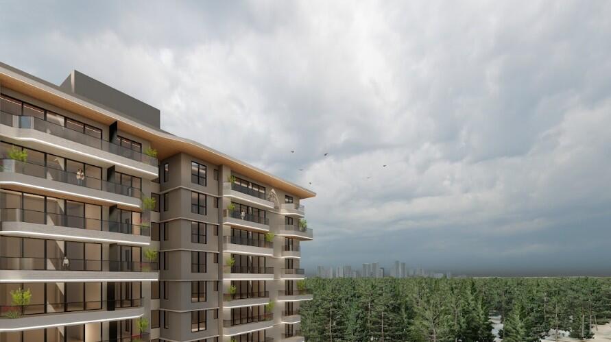 Property view 2