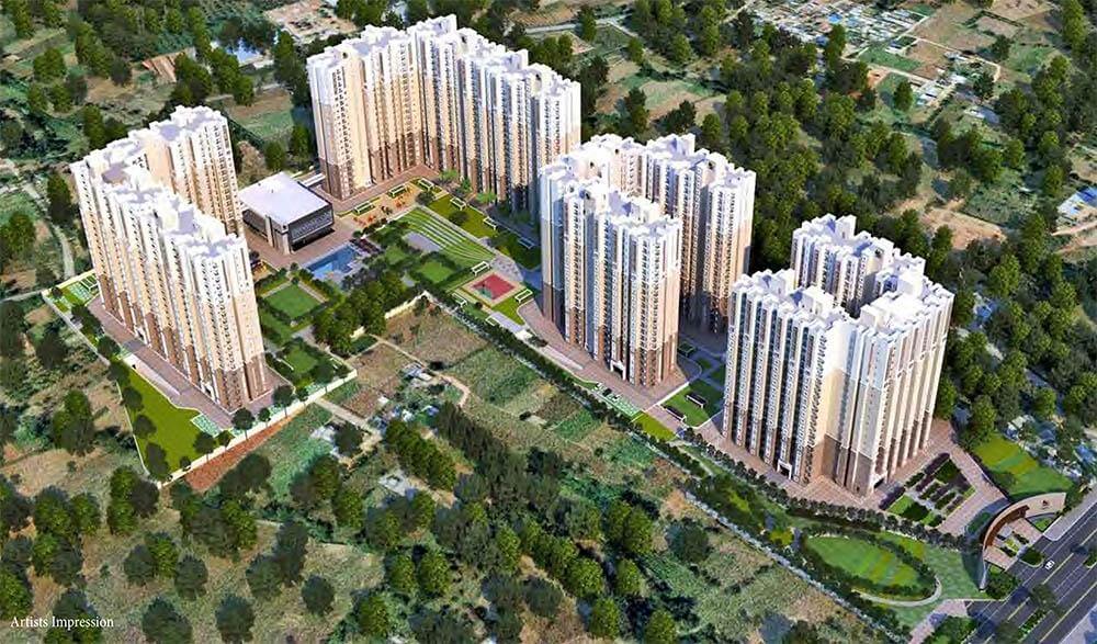 Property view 2