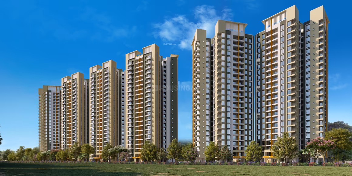 Property view 10