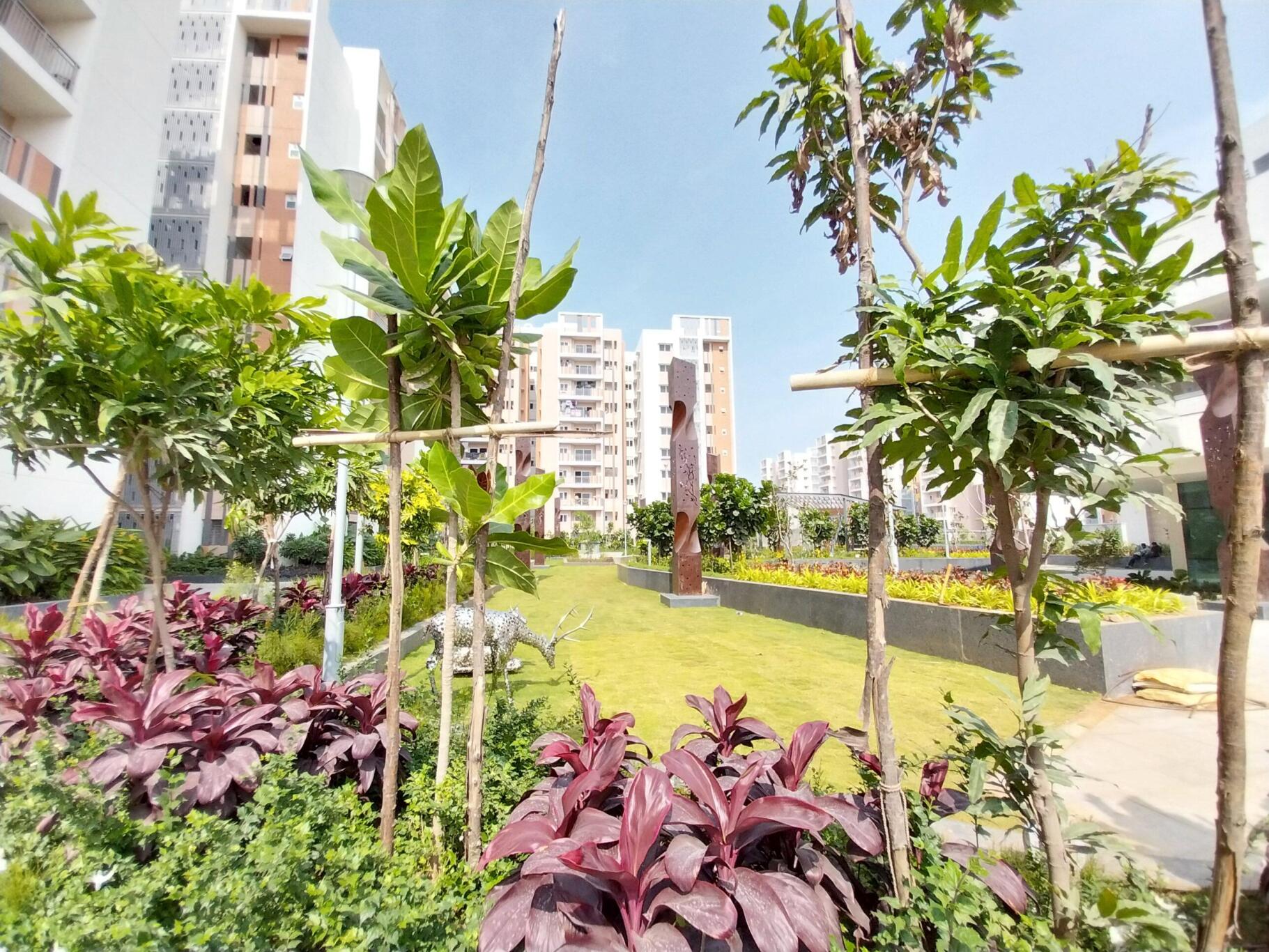 Property view 16