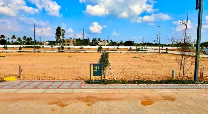 Property view 2